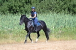 WJ7_8124