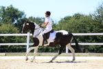 3E7A1371