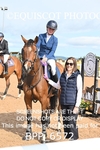CLASS 12 FRI Redpost Equestrian Senior Foxhunter/1.20m Open portfolio