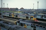 Cardiff Canton TMD, Cardiff portfolio