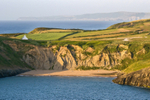 Mwnt