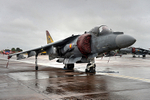HARRIER 02