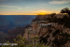 Grand Canyon Rim at Dawn 1