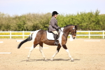 SBM_007990