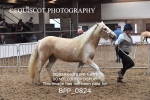 BPP_0824