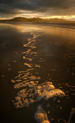 Sea and seashore portfolio