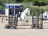 BPP_1475