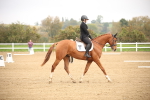 5K7A6405_Novice Test 2