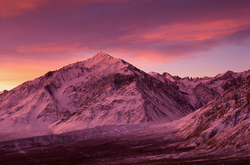 Along the Eastern Side portfolio