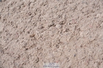 250525-101922-09092