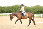 SBM_000690