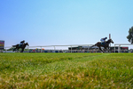 150726-Race 3-Lady Dublin-4198