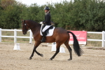 SBM_015736