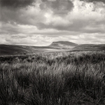 Moorland  to Pen-y-Ghent (square format)