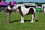 SBM_10035