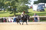 SBM_64588