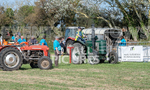 Guernsey Agricultural Show 2021-262