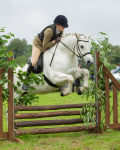 Dunblane show-377