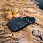 Whitby Jet jsp679