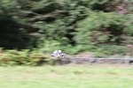 FOM_0740