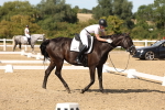 SBM_003909