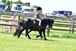 SBM_06005