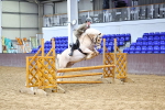 SBM_003667