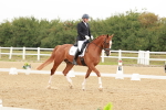 SBM_009334