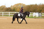 SBM_000684