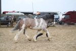 SBM_008042