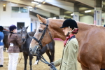 SBM_16197