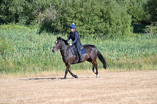 WJ7_7026