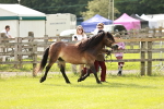 SBM_00444