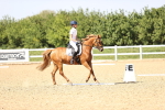 SBM_010196