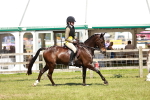 SBM_17687