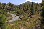 Walking Country, tenerife