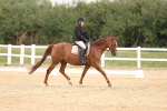 SBM_00535