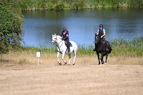 WJ6_8110