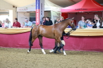 SBM_14963