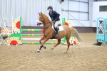 SBM_010262