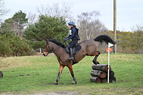 WJ7_8153