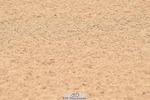 230720A-111810-02365