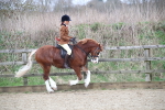 SBM_007199