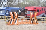 BPP_1393