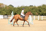 SBM_001593