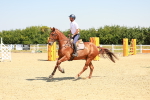 SBM_000568