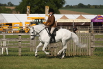 SBM_09677