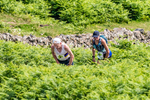 Wasdale-18