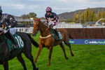 241025-Race 7-Harrys Hope-5874
