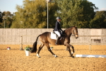 SBM_31438